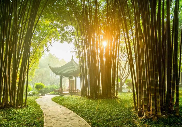 早起三不要,饭后三不急,睡前三不宜