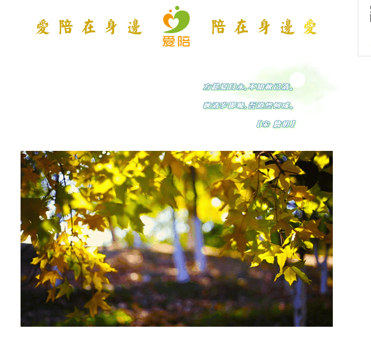 秋清岁即晚,吾道终何成?--共享陪护床为何而生